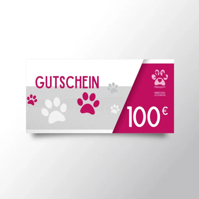 kiddydogs Hundeschule Leichlingen - Gutschein 100 Euro